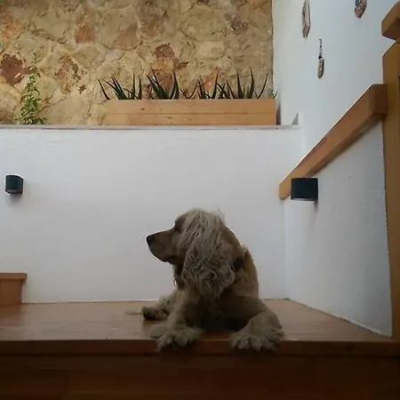 The Mediteran Lejlighedshotel 4*