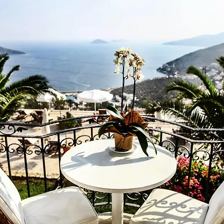The Mediteran 4*