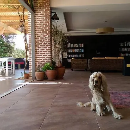 The Mediteran Aparthotel