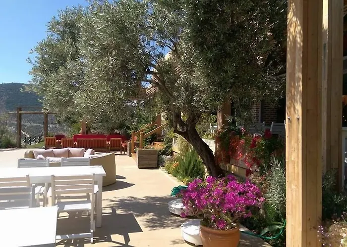 The Mediteran Aparthotel 4*