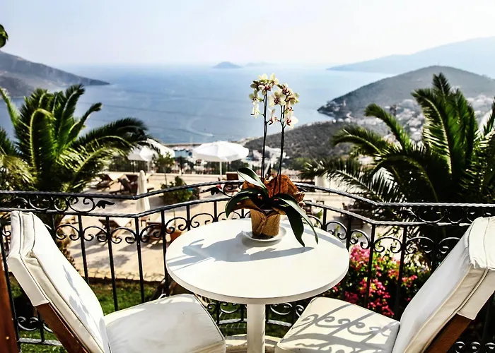 The Mediteran 4*